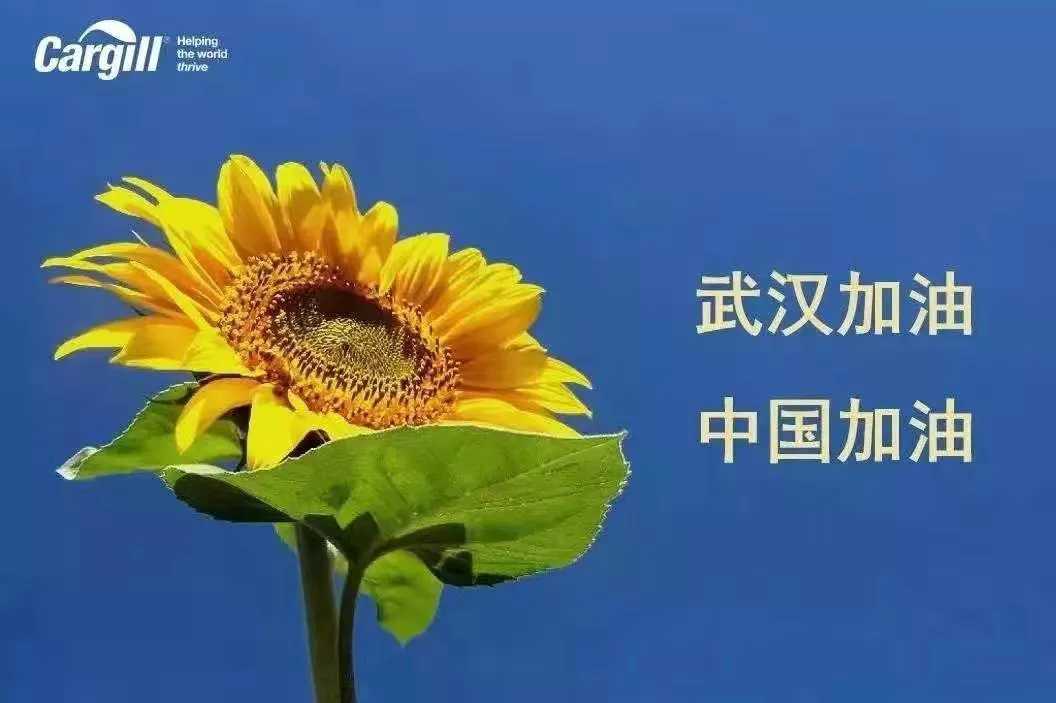 嘉吉(中國)捐增200萬(wàn)元現金及100萬(wàn)元防護物資,支持疫情控制