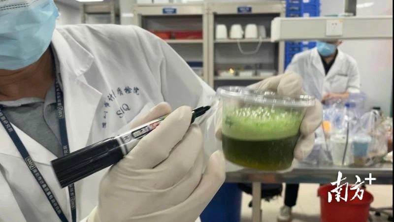 一些網(wǎng)紅飲品食品添加劑超范圍 15家茶飲單位被立案調查