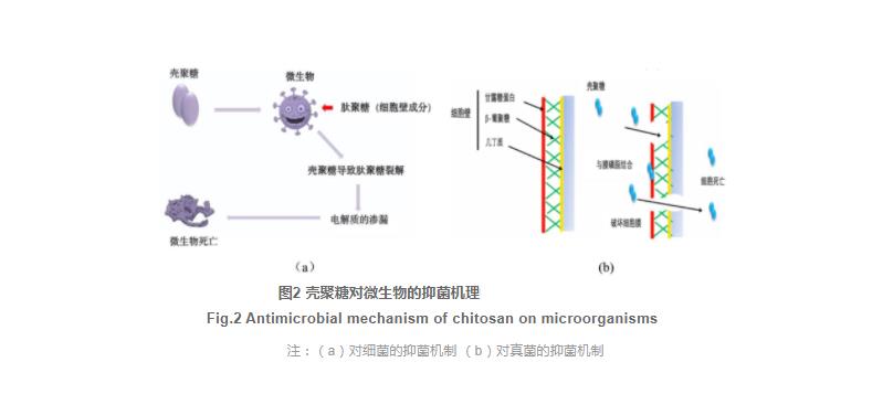 殼聚糖與生物保鮮劑復合使用在水產(chǎn)品保鮮中的研究進(jìn)展（一）