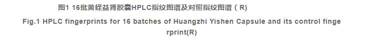 基于HPLC指紋圖譜結合化學(xué)模式識別的黃蛭益腎膠囊質(zhì)量控制（二）
