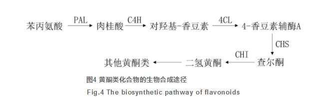 四逆散研究進(jìn)展及質(zhì)量標志物的預測分析（三）
