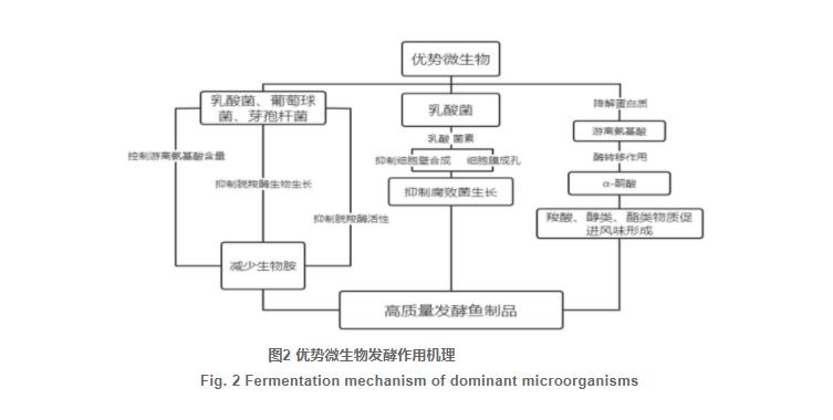 發(fā)酵魚(yú)中菌群組成及發(fā)酵特性研究進(jìn)展（三）