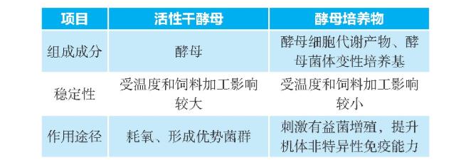 運用酵母發(fā)酵技術(shù)提升蛋雞的健康水平