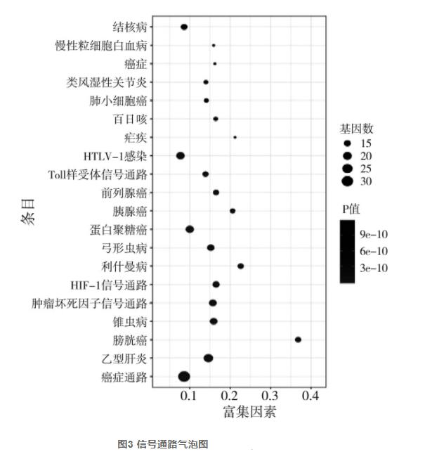 茵陳質(zhì)量標志物的預測（二）