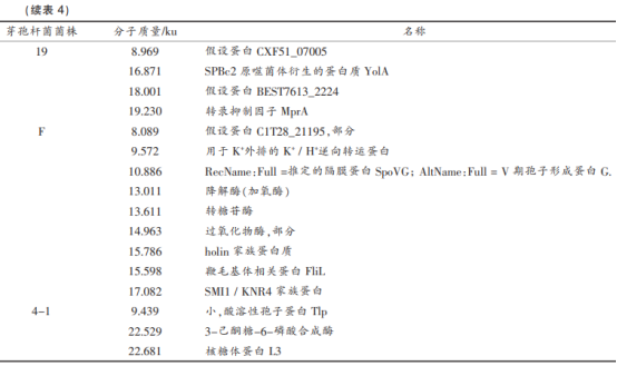 牡蠣中產(chǎn)廣譜細菌素芽孢桿菌的篩選及鑒定（三）