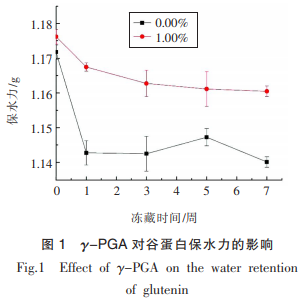 γ-聚谷氨酸對凍藏谷蛋白水合及結構的影響（一）
