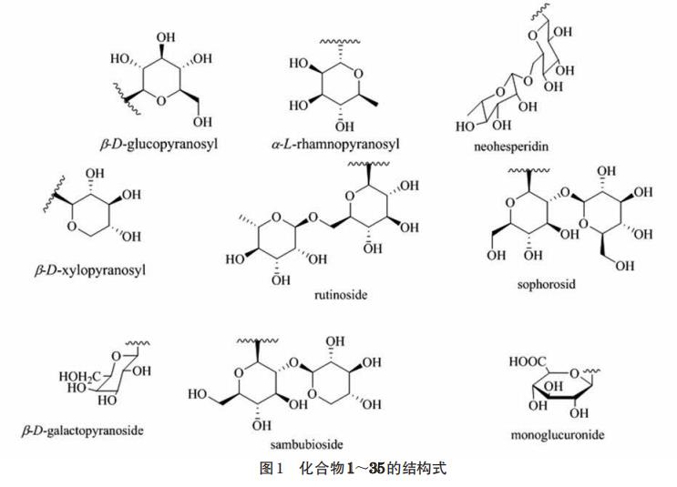 接骨木屬植物化學(xué)成分和藥理作用的研究進(jìn)展（一）