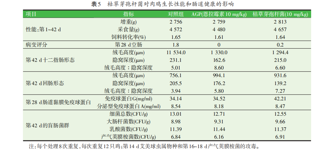 禁抗下功能性飼料添加劑的營(yíng)養健康作用（二）
