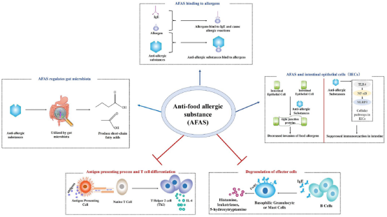 西北大學(xué)田陽(yáng)博士在食品領(lǐng)域頂級期刊《Critical Reviews in Food Science and Nutrition》發(fā)表抗食物過(guò)敏綜述論文