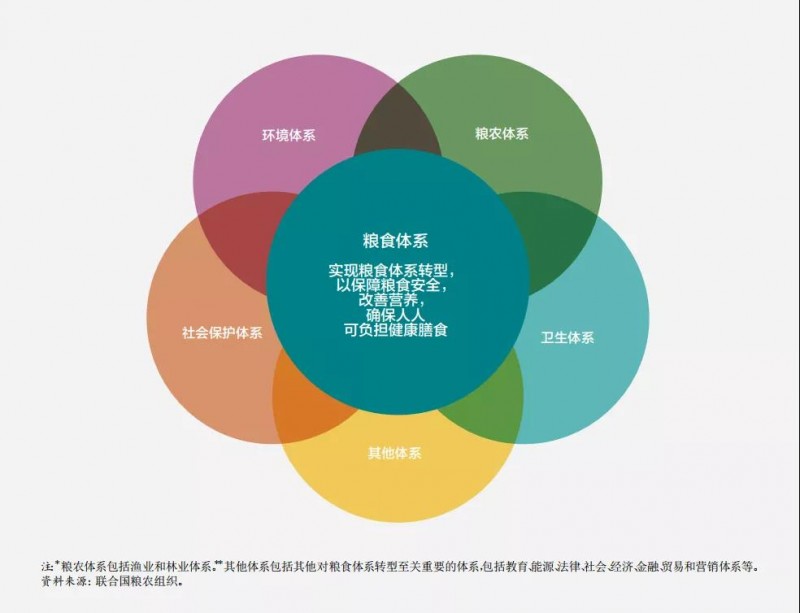 《2021年世界糧食安全和營(yíng)養狀況》中文版全文發(fā)布：疫情肆虐，全球饑餓人數激增