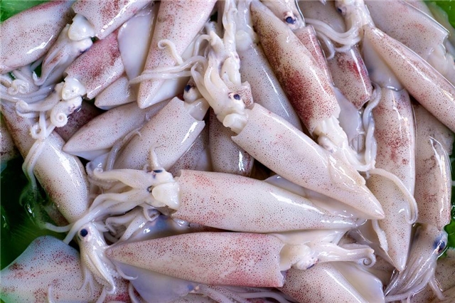 魷魚(yú)脫皮酶（魷魚(yú)去皮酶 魷魚(yú)脫皮劑）