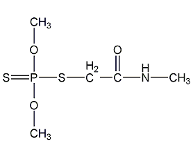 樂(lè )果