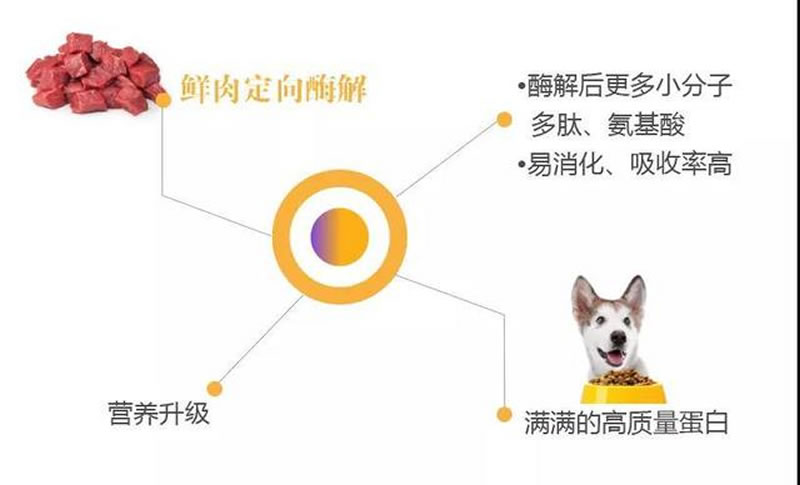 如何利用鮮肉酶解技術(shù)水解牛肉生產(chǎn)寵物誘食劑？
