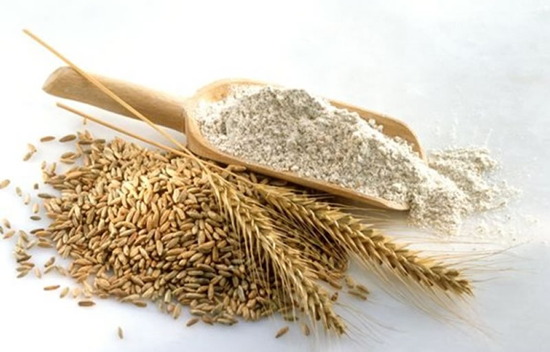如何利用小麥蛋白酶解制備小麥蛋白多肽？