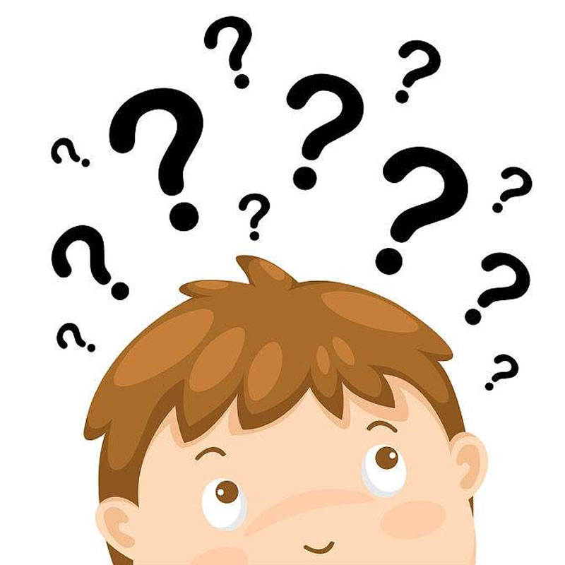 酶解法水解雞肝寵物誘食劑用什么酶好？