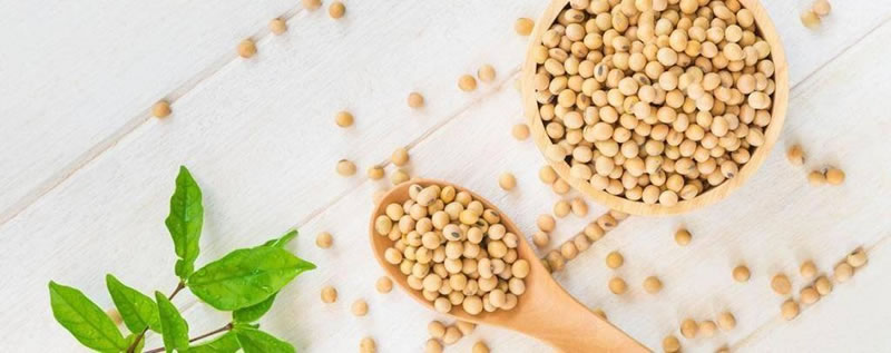 為什么酶解大豆蛋白制備大豆肽口感是苦的？如何解決？