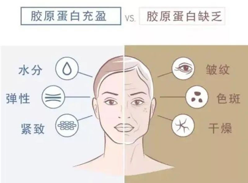 酶解鱈魚(yú)皮制備膠原蛋白的影響因素有哪些？