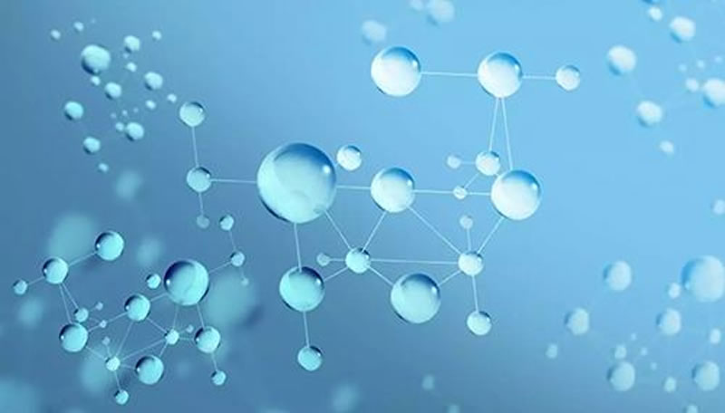 堿性蛋白酶制備小分子蛋白肽的有點(diǎn)有哪些？