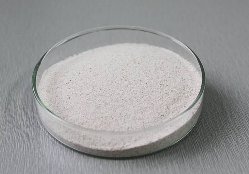 堿性蛋白酶在生產(chǎn)生活中的應用有哪些？