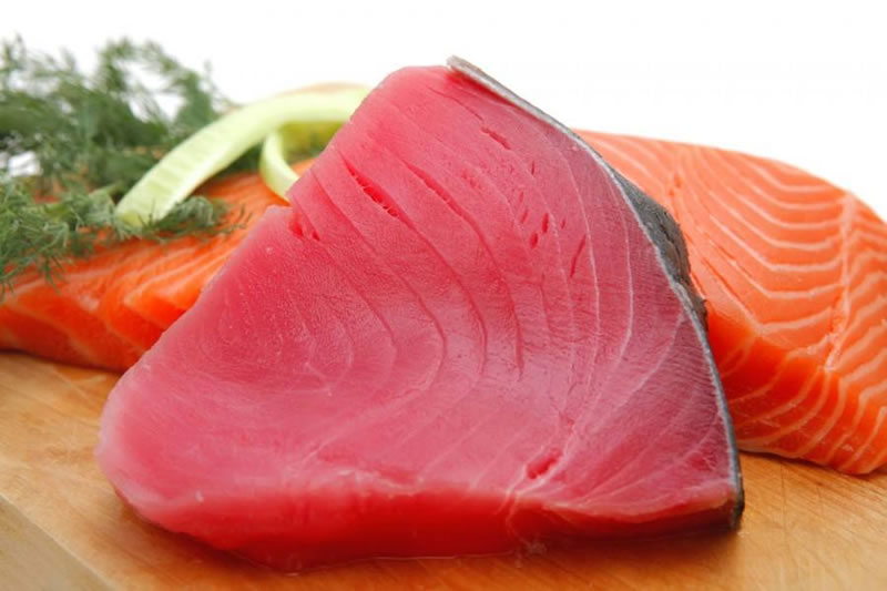 如何酶解金槍魚(yú)提高寵物貓糧誘食劑風(fēng)味性？