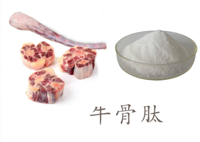 牛骨酶解用什么酶制劑？