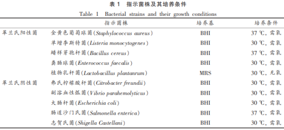 牡蠣中產(chǎn)廣譜細菌素芽孢桿菌的篩選及鑒定（一）