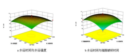 黑變紅棗棗皮類(lèi)黑精的提取與穩定性研究（七）