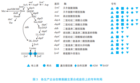 賴(lài)氨酸工業(yè)發(fā)展的機遇與挑戰（二）