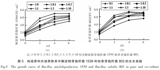 山西老陳醋優(yōu)良芽孢菌與醋酸菌、乳酸菌的相互作用（三）