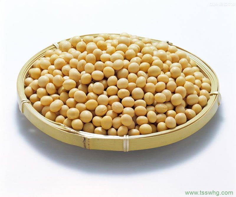 豆漿粉改性的方法有哪些？